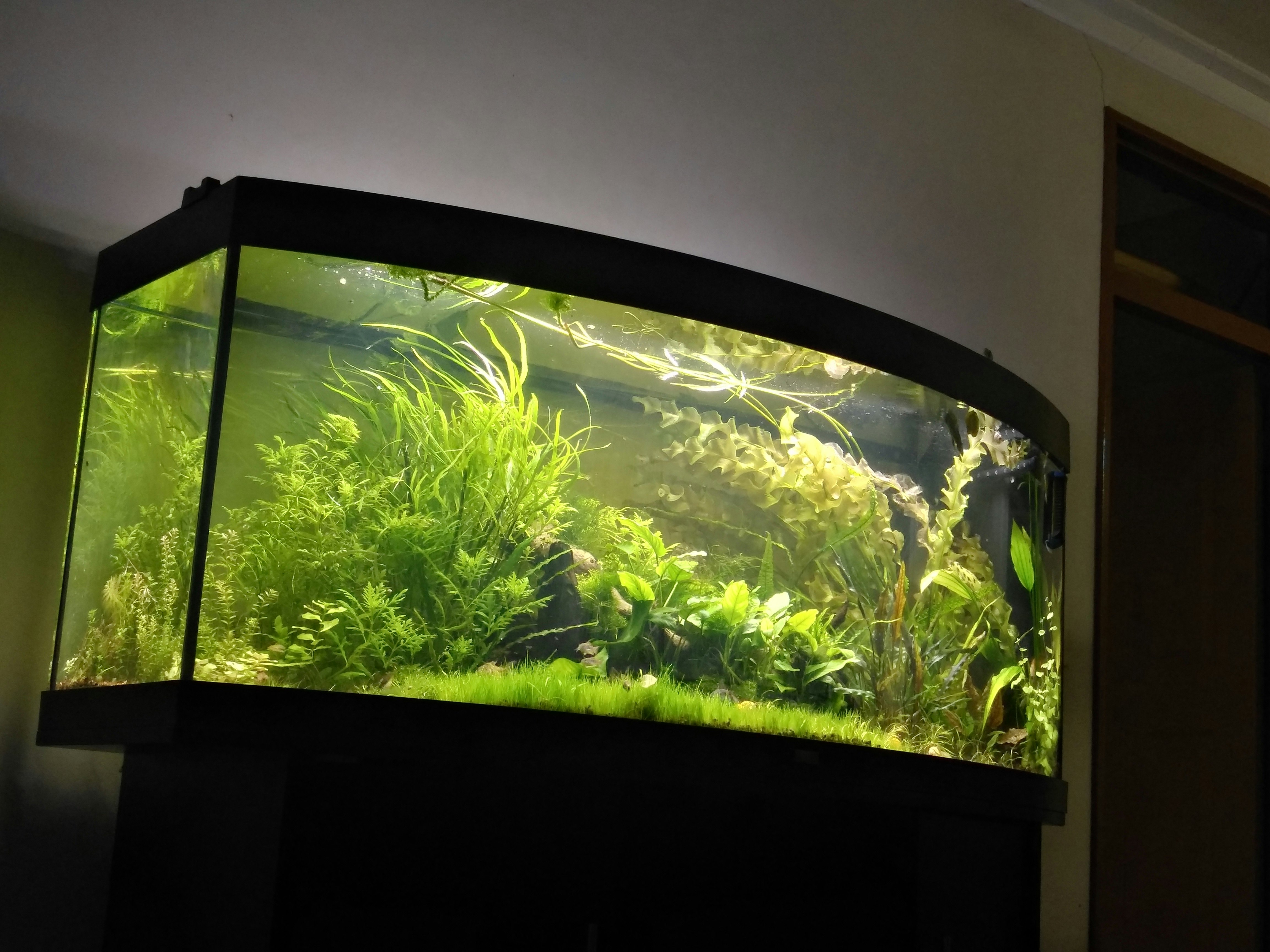 Fluval Plant 3.0 LED Light For Sale
